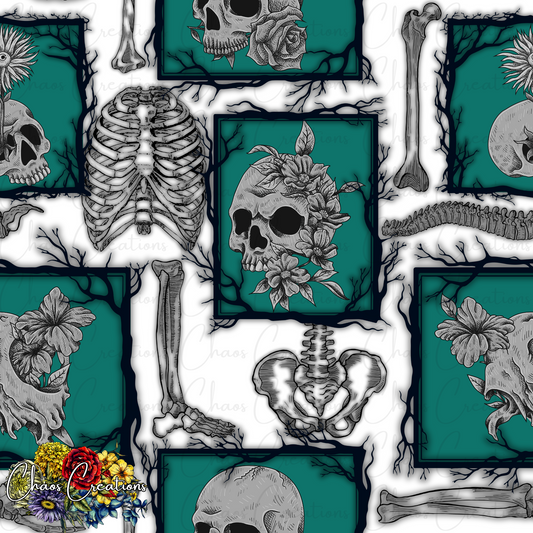 Teal Framed Anatomy