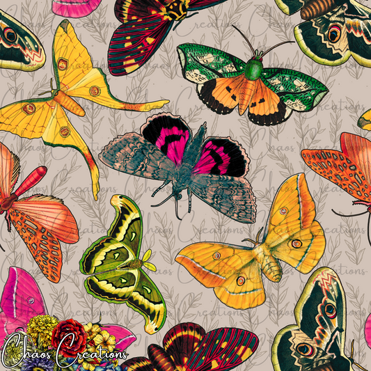 Antique Moths